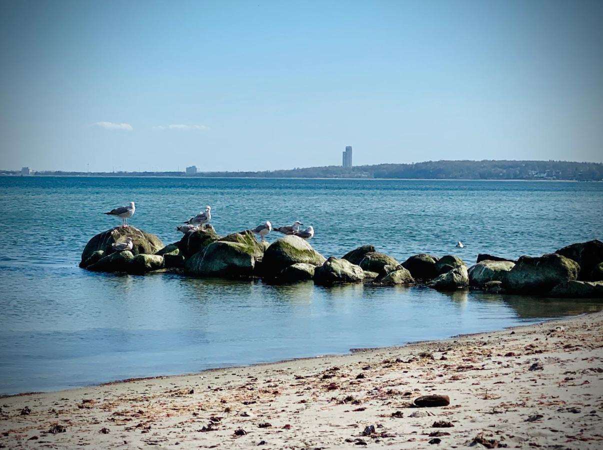 Fewo Sonnendeck Familien-Strandnah-Garten-Hunde-Sport-Und Schwimmbadnah-Hansapark Sierksdorf Luaran gambar